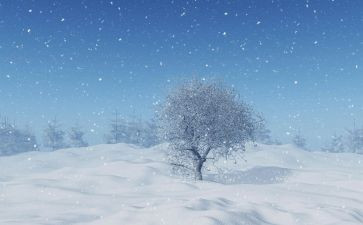 小班下雪天的安全教案5篇