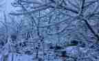 下雪的作文下雪作文500字8篇