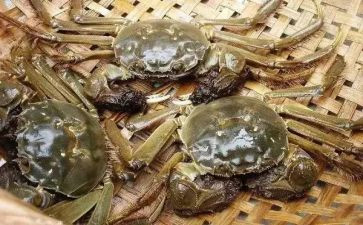 煮螃蟹作文通用8篇