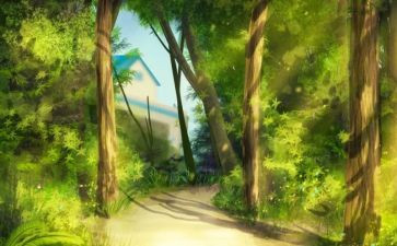 作文描写景的作文6篇