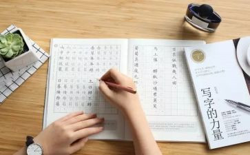 写作文的作文五百字6篇