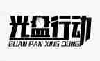 整治行动开展工作总结6篇