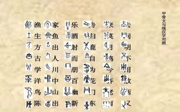 形近字调查报告优质5篇