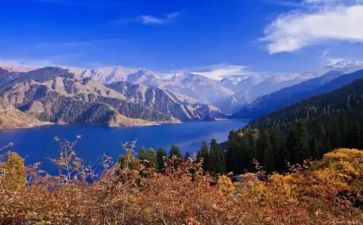 2024中国新疆历史印记心得7篇