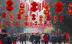 2024年新年活动方案优秀8篇