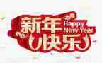作文过新年800字5篇