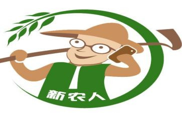 关于新农村建设的调查报告8篇
