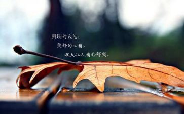 心情的作文400字7篇