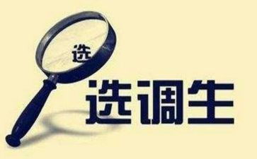 选调调研报告7篇
