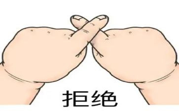 拒绝吃野味的作文7篇