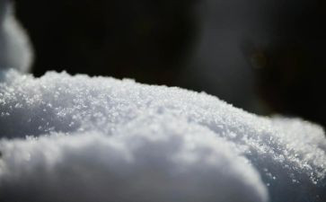关于雪的作文200字通用8篇
