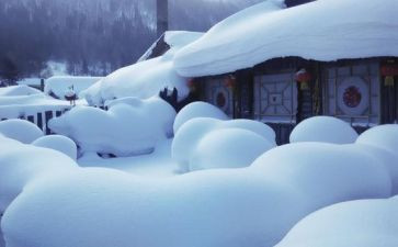 雪的作文120字5篇