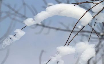 冬天的雪小学作文模板7篇