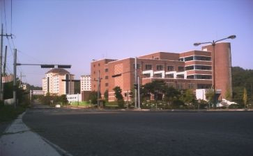 大学部门的期末总结6篇