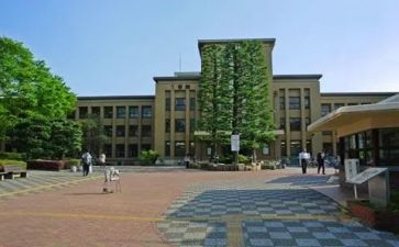 学部主任述职报告5篇