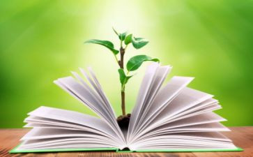 大班主班教学工作计划精选5篇