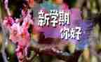 关于新学期新计划的作文600字7篇
