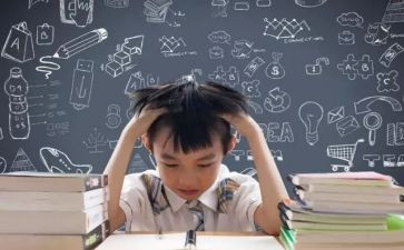 大学学生心得体会范文最新6篇