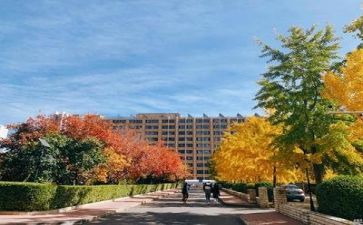 2024学校财务个人总结报告6篇