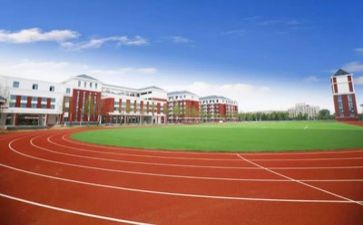 学校述职报告范文模板8篇