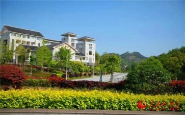 学校述职报告范文7篇
