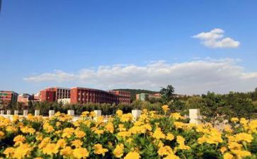 学校军训工作报告6篇