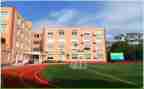 学校自查报告模板8篇