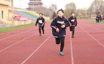 年度学校体育工作总结6篇