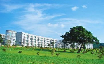 2024年学院工作总结报告7篇