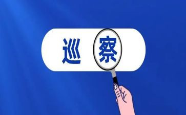 巡察专项工作报告6篇