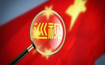巡察的工作报告6篇