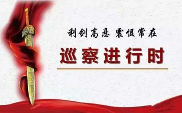 巡察汇报材料6篇