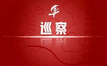 巡察干部个人述职报告5篇