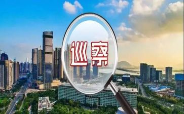 巡察组长2024年述职述廉报告5篇