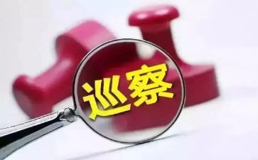 巡察组个人述职报告5篇