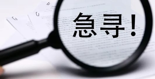 红色寻访作文5篇