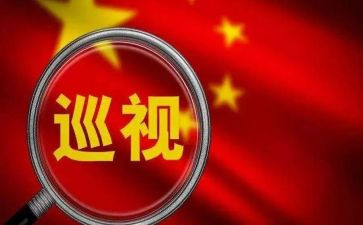 抓巡视工作报告6篇