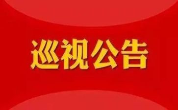 巡视办工作报告6篇