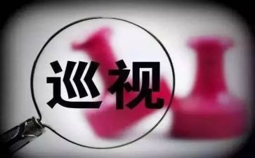 区巡视工作报告6篇