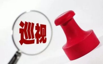 写巡视工作报告6篇
