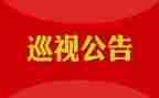 巡视办工作报告6篇