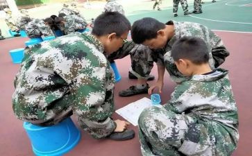 培训学校2024工作总结推荐6篇
