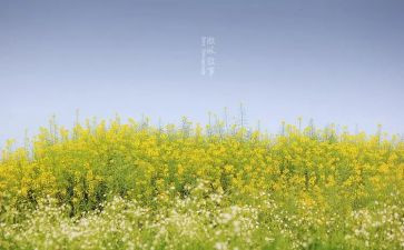 叙事性作文推荐6篇