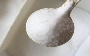盐的味道作文6篇