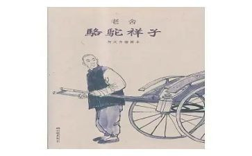 我的样子作文我的样子作文6篇