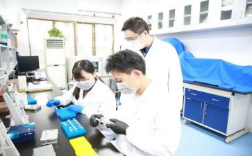 研究工作总结模板8篇