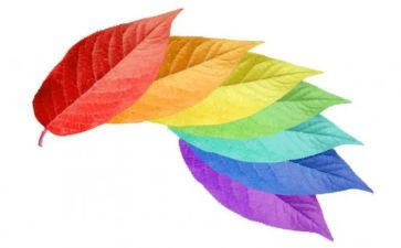 颜色变变教案5篇