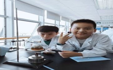 试验室试验员年终工作总结5篇