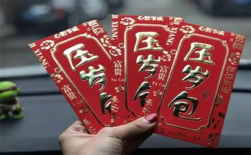拿压岁钱的作文精选6篇