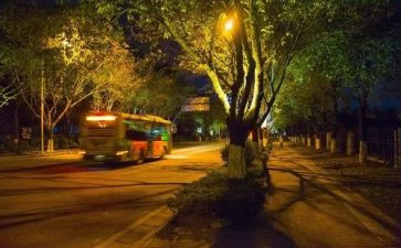 星月夜教案6篇